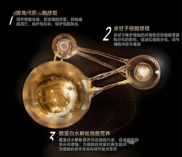 研究揭示生物膜如何抑制微塑料堆积